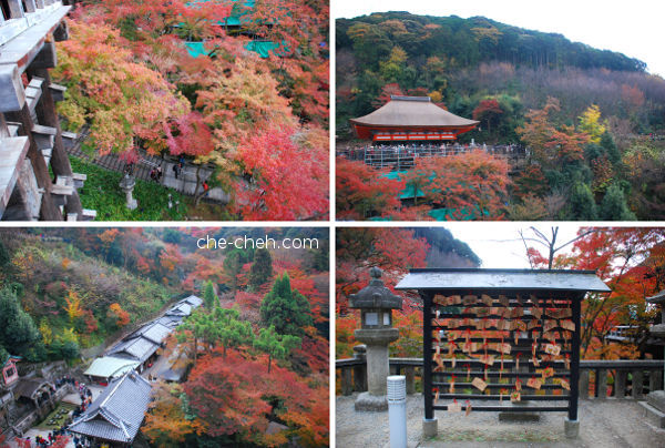 Fall Foliage @ Kiyomizu-dera, Kyoto